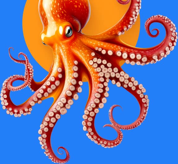 octopus