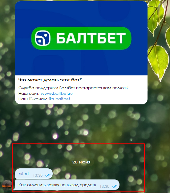 Телеграм бот поддержки БалтБет