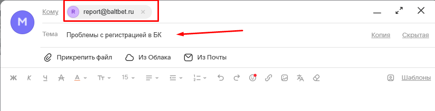 Электронная поддержка БалтБет