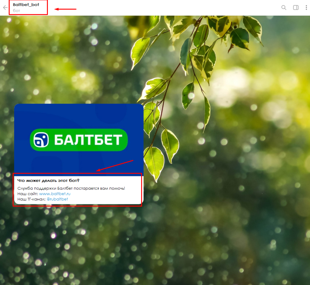 Чат-бот поддержки БалтБет