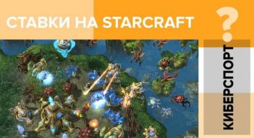 Ставки на StarCraft