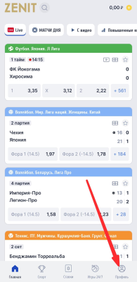 Раздел «Профиль» в мобильном приложении zenit