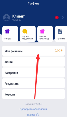Раздел «Мои финансы» в мобильном приложении БК Зенит