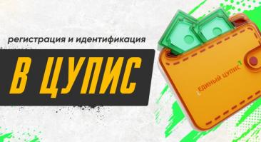 ЦУПИС: регистрация и идентификация в первом и втором