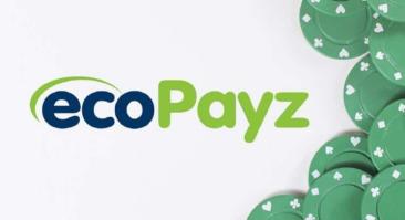 EcoPayz электронный кошелек