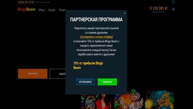 партнерская программа бинго бум