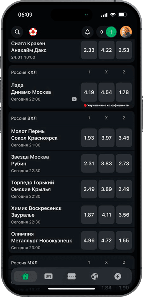 Коэффициенты в БК Леон