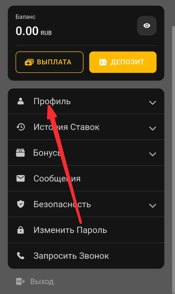Раздел Профиль в Мелбет
