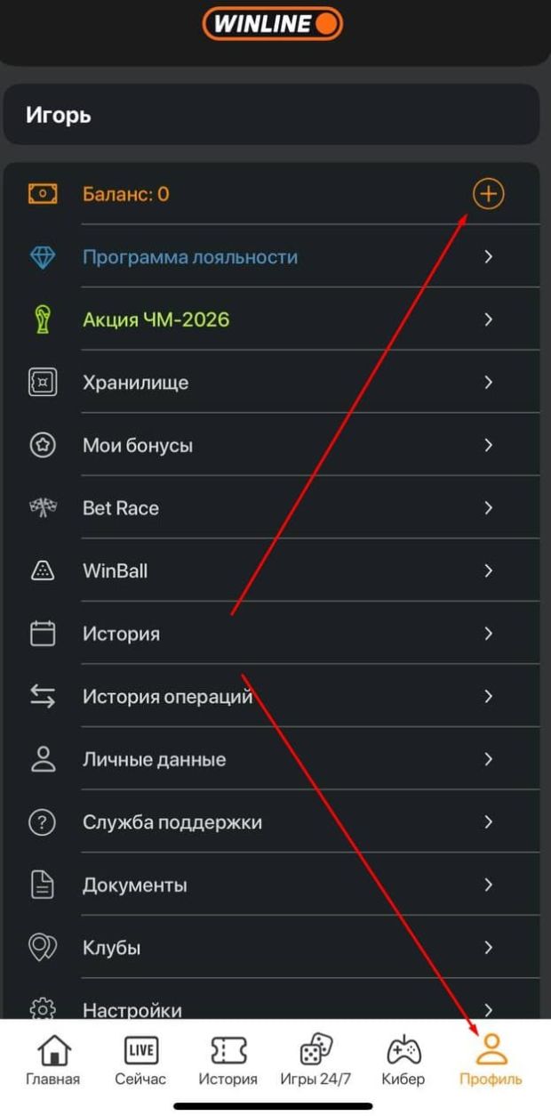 винлайн вывод средств
