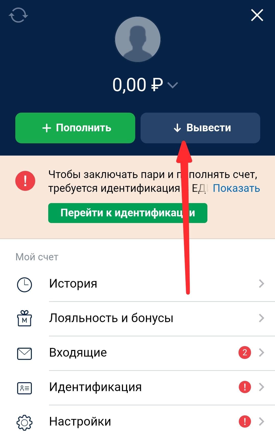 Далее «Вывести».