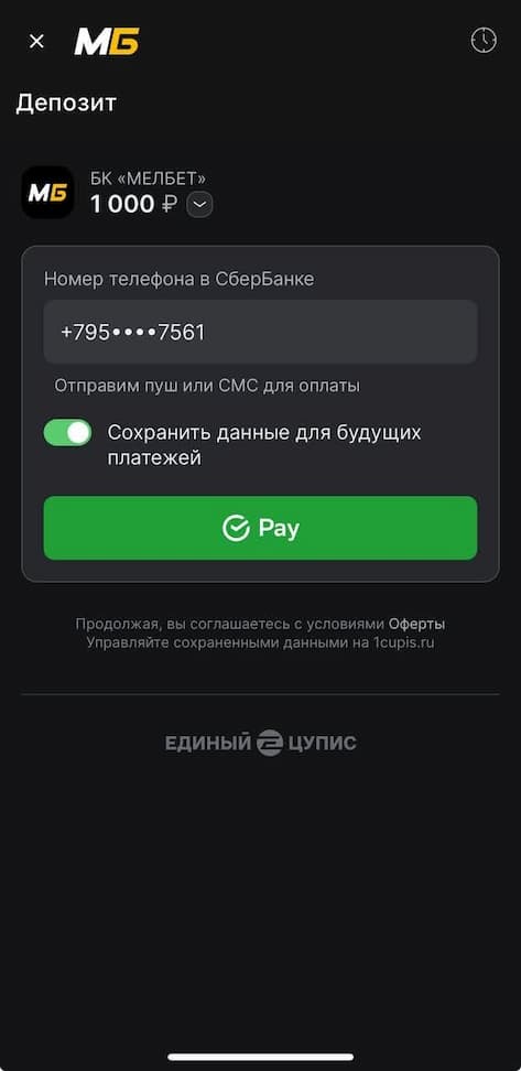 Мобильный банкинг (SberPay, T-Pay, ВТБ Pay)