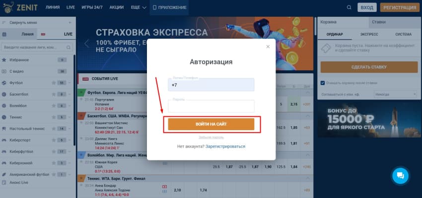 После этого вы можете авторизоваться в ЛК по новым данным. Пропишите обновленный пароль, кликните «Войти на сайт» и система перенаправит вас в кабинет.
