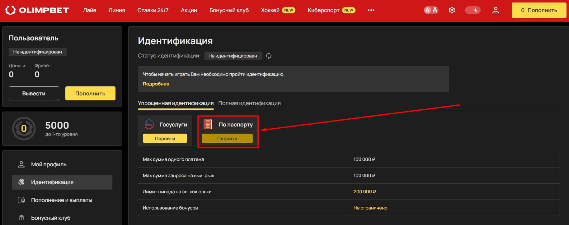 Выберите вариант «По паспорту» и нажмите «Перейти»