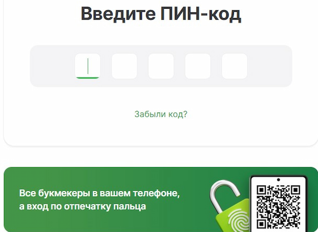 Придумайте пин-код в ЦУПИСе для Леон