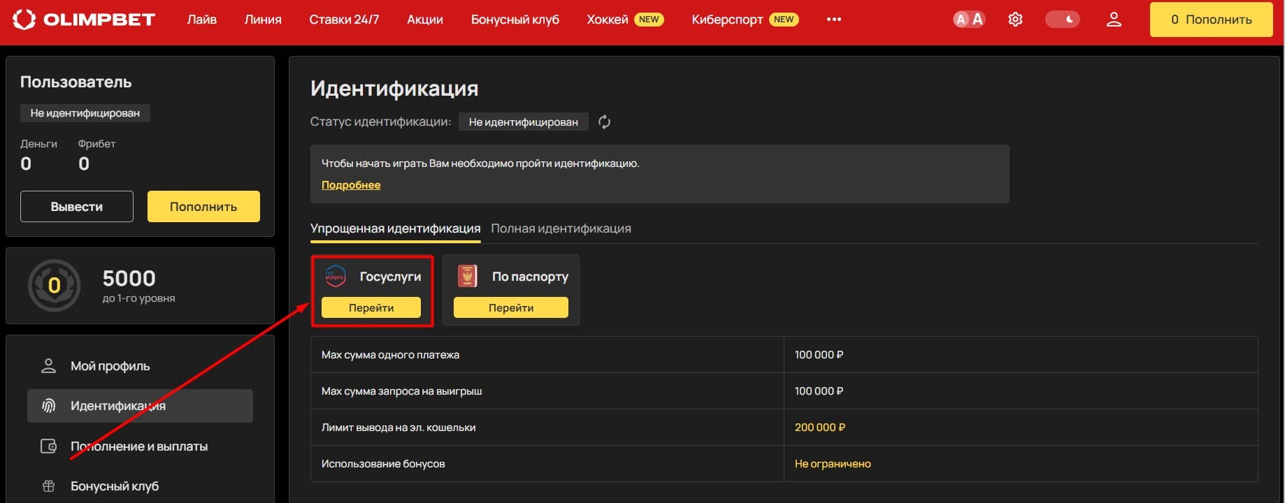 Выберите вариант «Госуслуги»