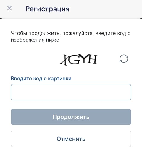 В открывшемся окне введите капчу.