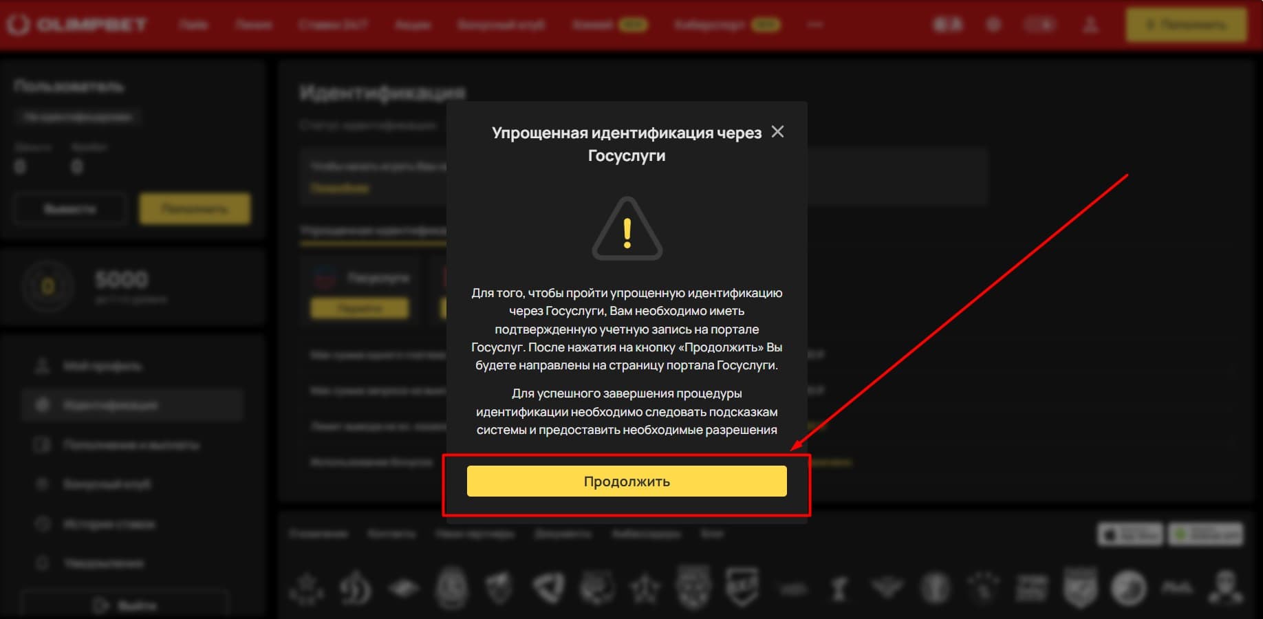 После появления уведомления на экране тапните «Продолжить»