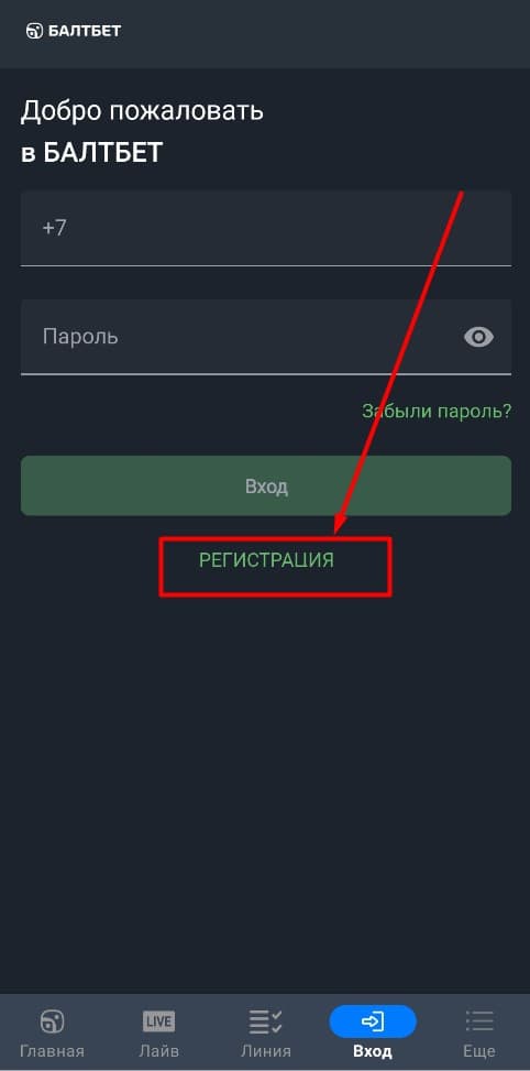 В следующем окне нажмите «Регистрация». Кнопка расположена под клавишей «Вход».