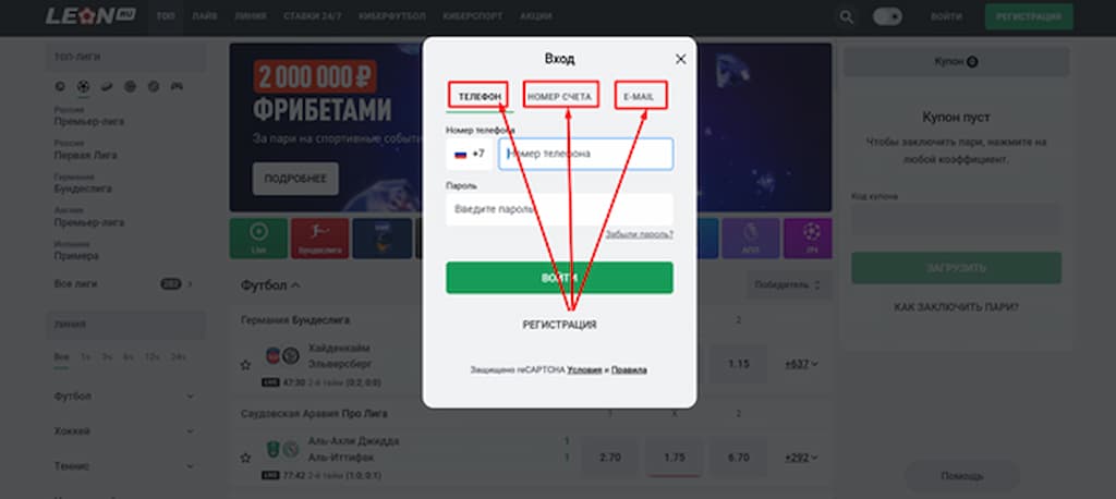 Выберите тип авторизации на Leon