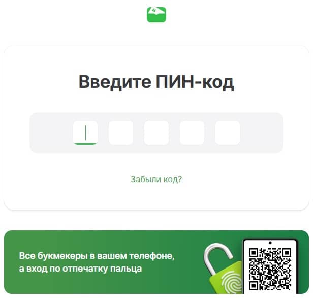 Форма для ввода пин кода ЦУПИС