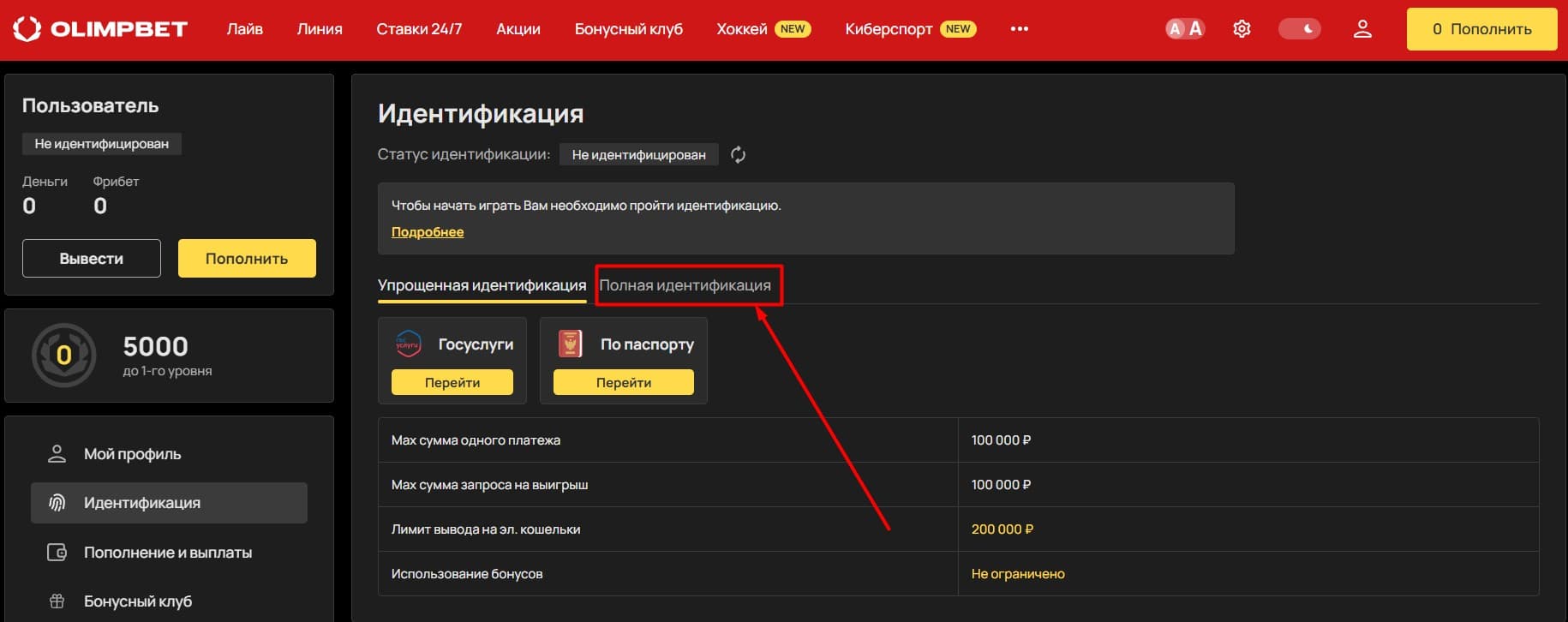 Тапните на вкладку «Полная идентификация».