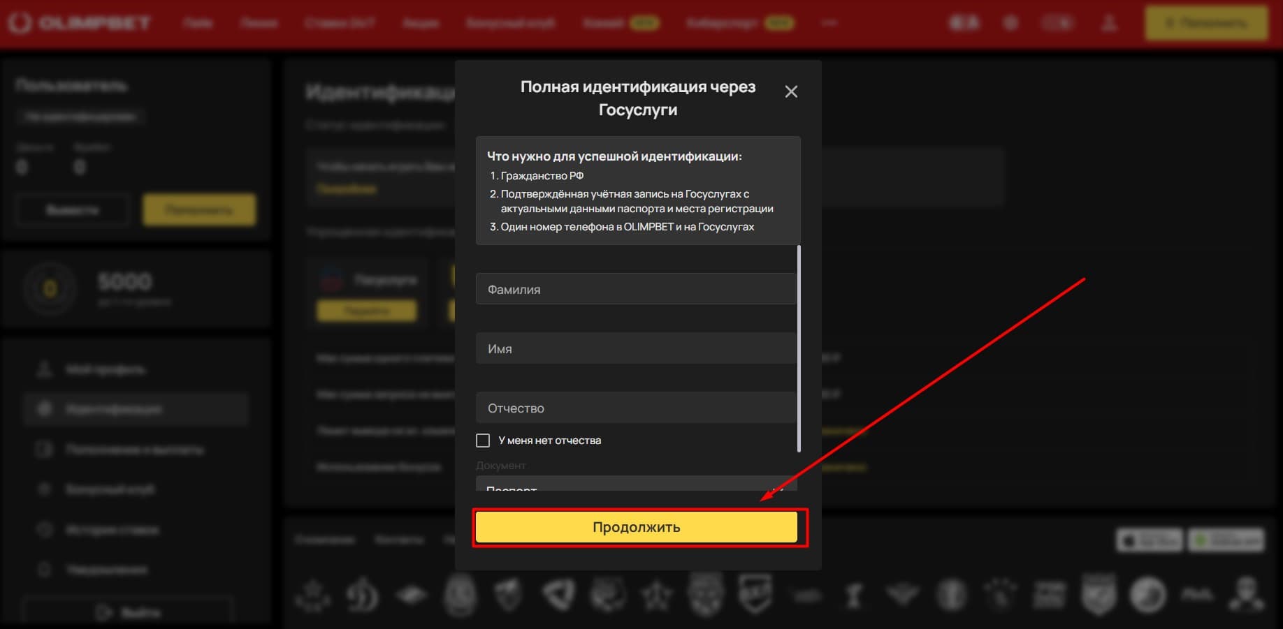 Заполните форму и кликните «Продолжить»