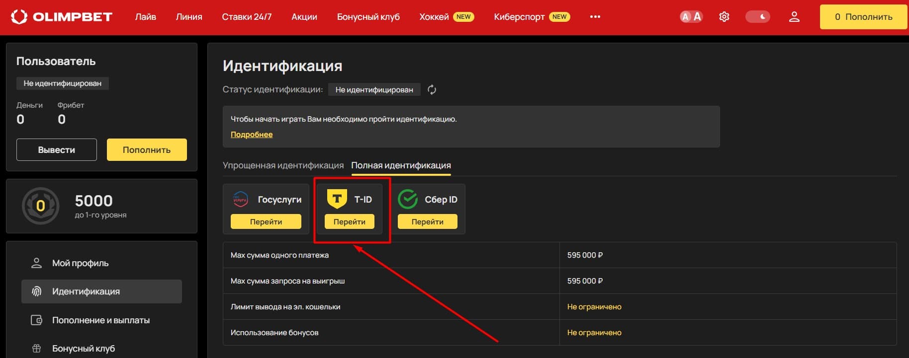 Выберите пункт «T-ID» и кликните на кнопку «Перейти».