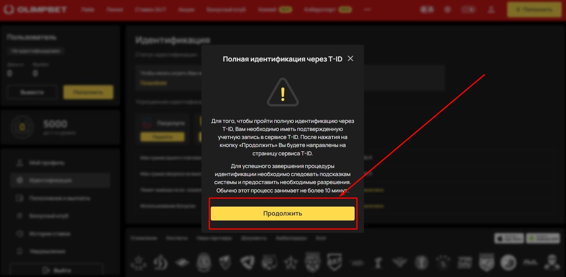 Ознакомьтесь с инструкцией и кликните «Продолжить».
