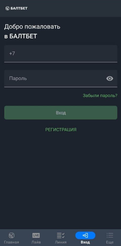 Укажите телефон, пароль и нажмите «Вход».