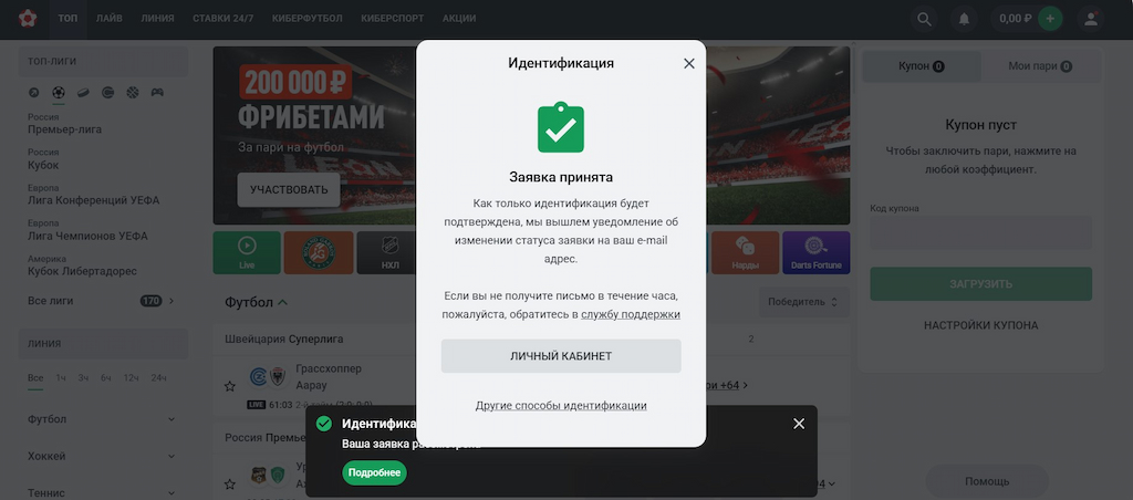 Дождитесь обработки идентификации на Леон