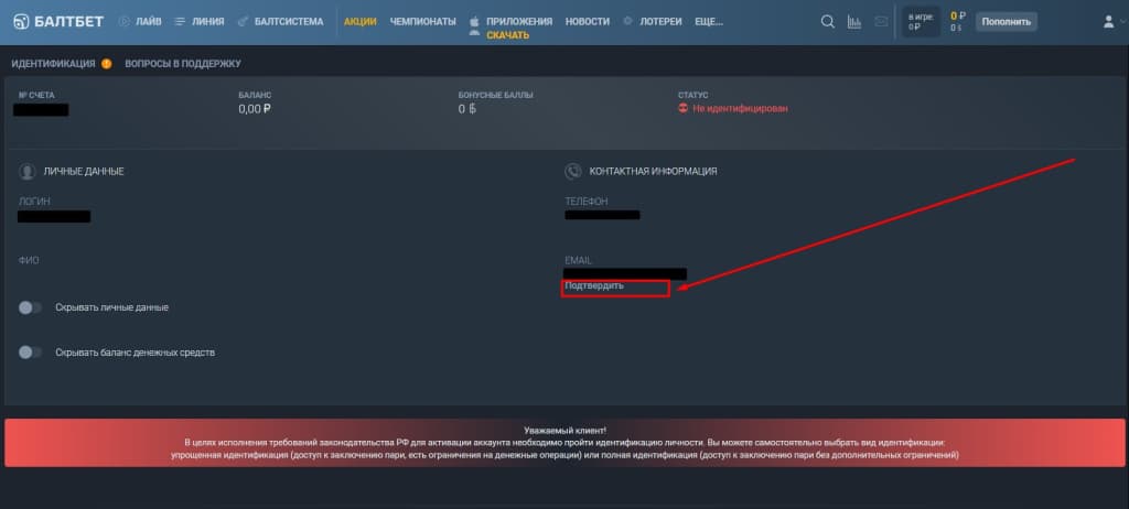 Чтобы подтвердить почту, нажмите одноименную кнопку под графой «E-MAIL».