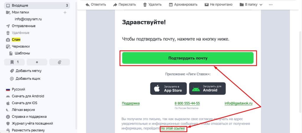 Кроме подтверждения номера игроку необходимо подтвердить почту. Для этого нужно открыть письмо от «Лиги Ставок», после чего нажать одноименную кнопку или перейти по ссылке в сообщении.
