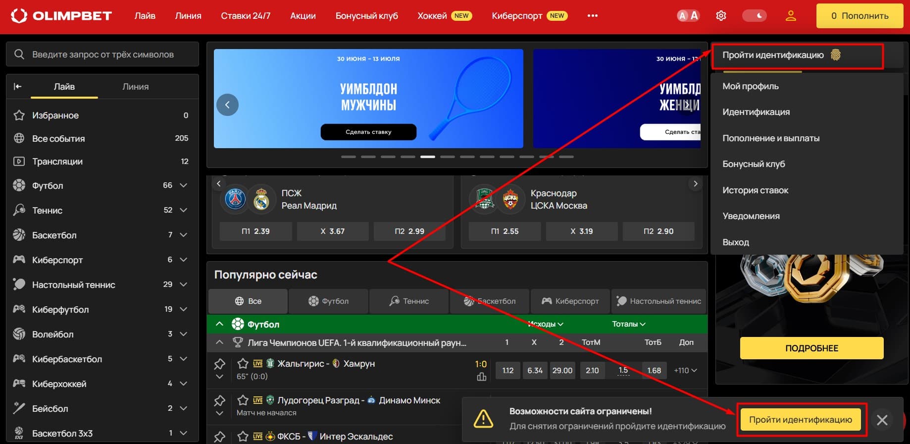 Нажмите «Пройти идентификацию».