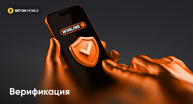 Верификация Винлайн