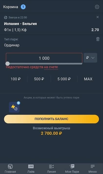 Корзина Балтбет