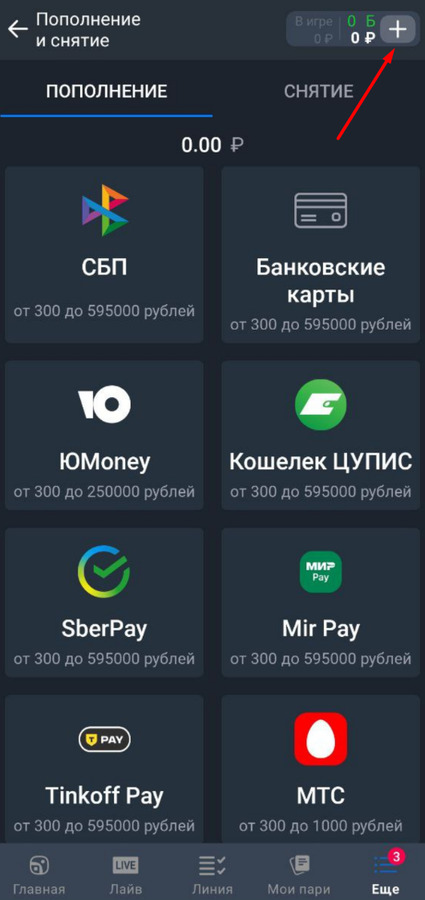 Выберите платежный метод на БК Балтбет
