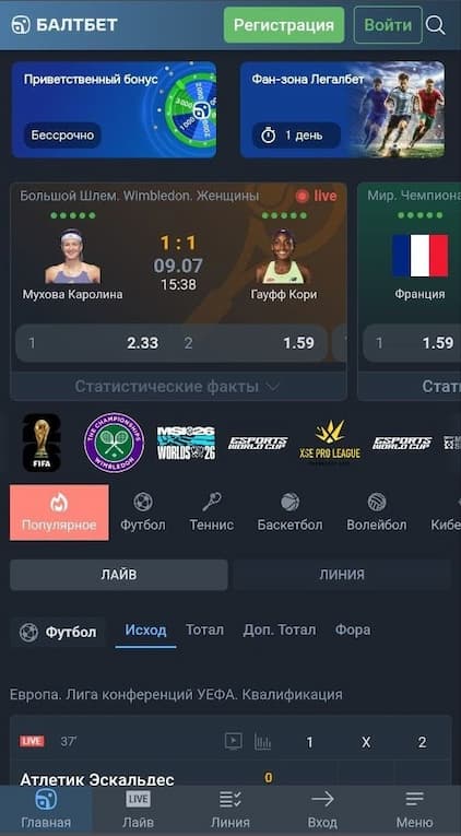 Удобство платформы Балтбет