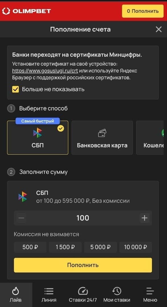 Пополнение и вывод Олимп