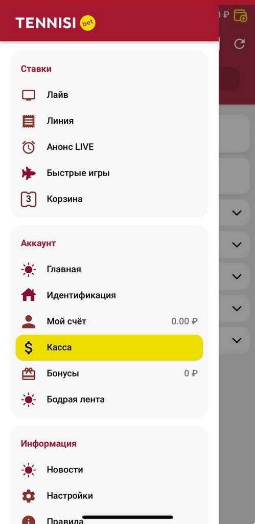 Личный кабинет и идентификация в Tennisi