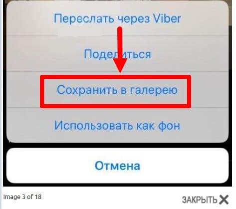 Куда Сохраняются Фото Из Вайбера