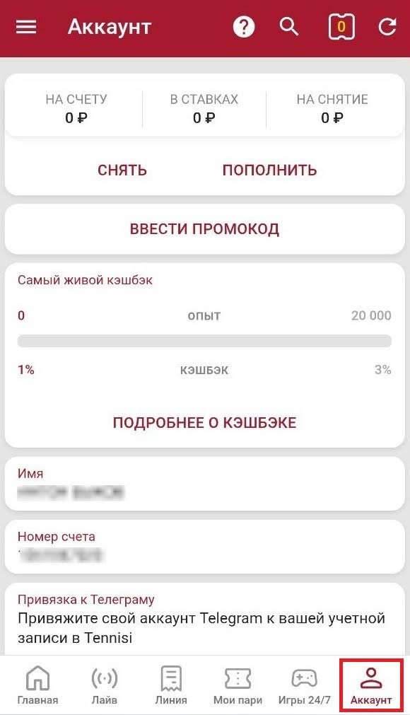 Личный кабинет Тенниси