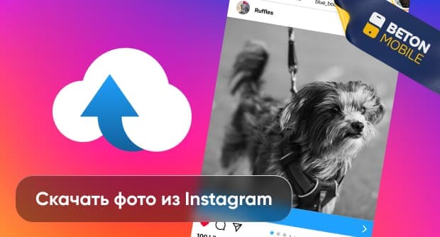 Как скачать фото из Instagram на компьютер и телефон (Android, IOS)