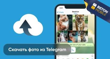 Как скачать фото из Telegram