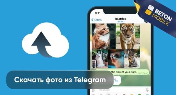 Как скачать фото из Telegram