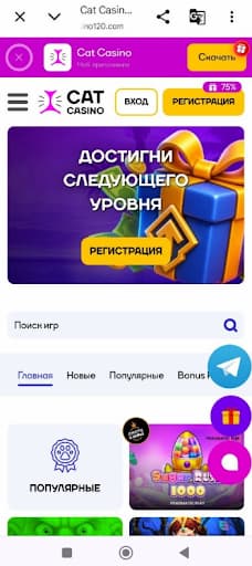 Кет казино обзор