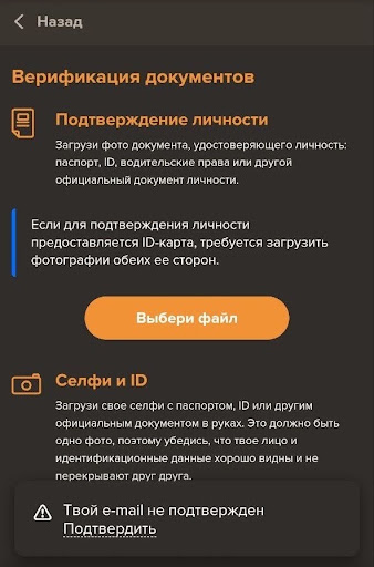 Для вывода средств потребуется верификация. Необходимо предоставить фотографию паспорта или другого документа, селфи с ним и подтверждение платежного средства (фото банковской карты, скриншот из ЛК). Все файлы следует загружать в разделе «Верификация» в профиле.