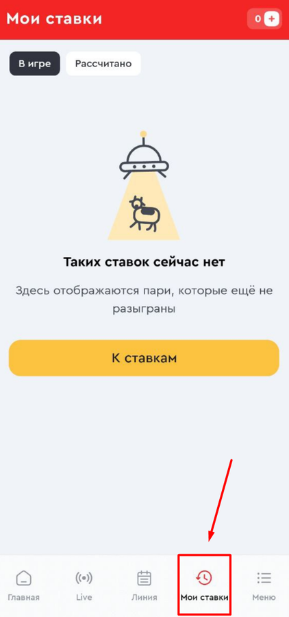 Отслеживание статистики на ОлимпБет