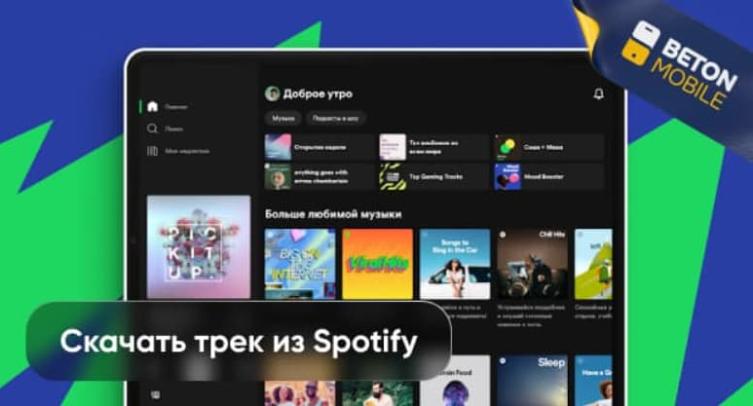 Как скачать музыку из Spotify бесплатно на телефон на ПК