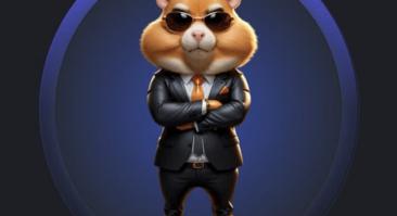 Hamster Kombat сегодня. Комбо, карточки и шифр 15 июня и 16 июня
