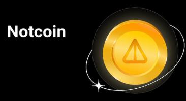 Notcoin: последние новости на 11 июля